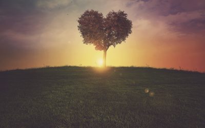 Hancock’s Five Commitments For MarriageAnd Money
