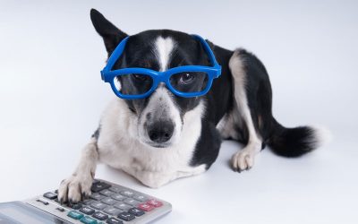 Randall Hancock’s Under-Utilized Pet Tax Deductions