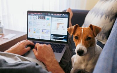 Work From Home Policy for Birmingham Businesses